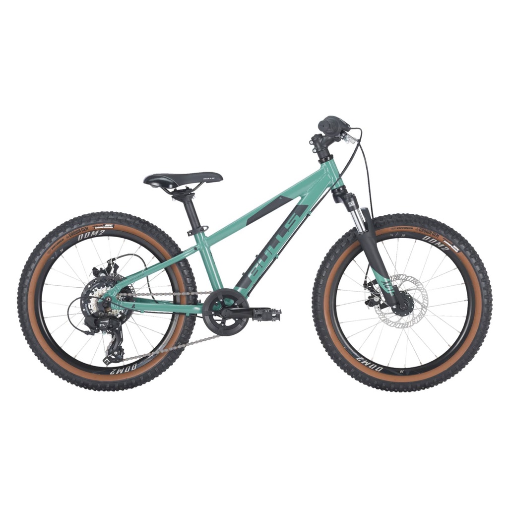 [ZEG-504-76925] Bicicleta Copii Bulls Tokee 20 Disc - 20 Inch, Verde